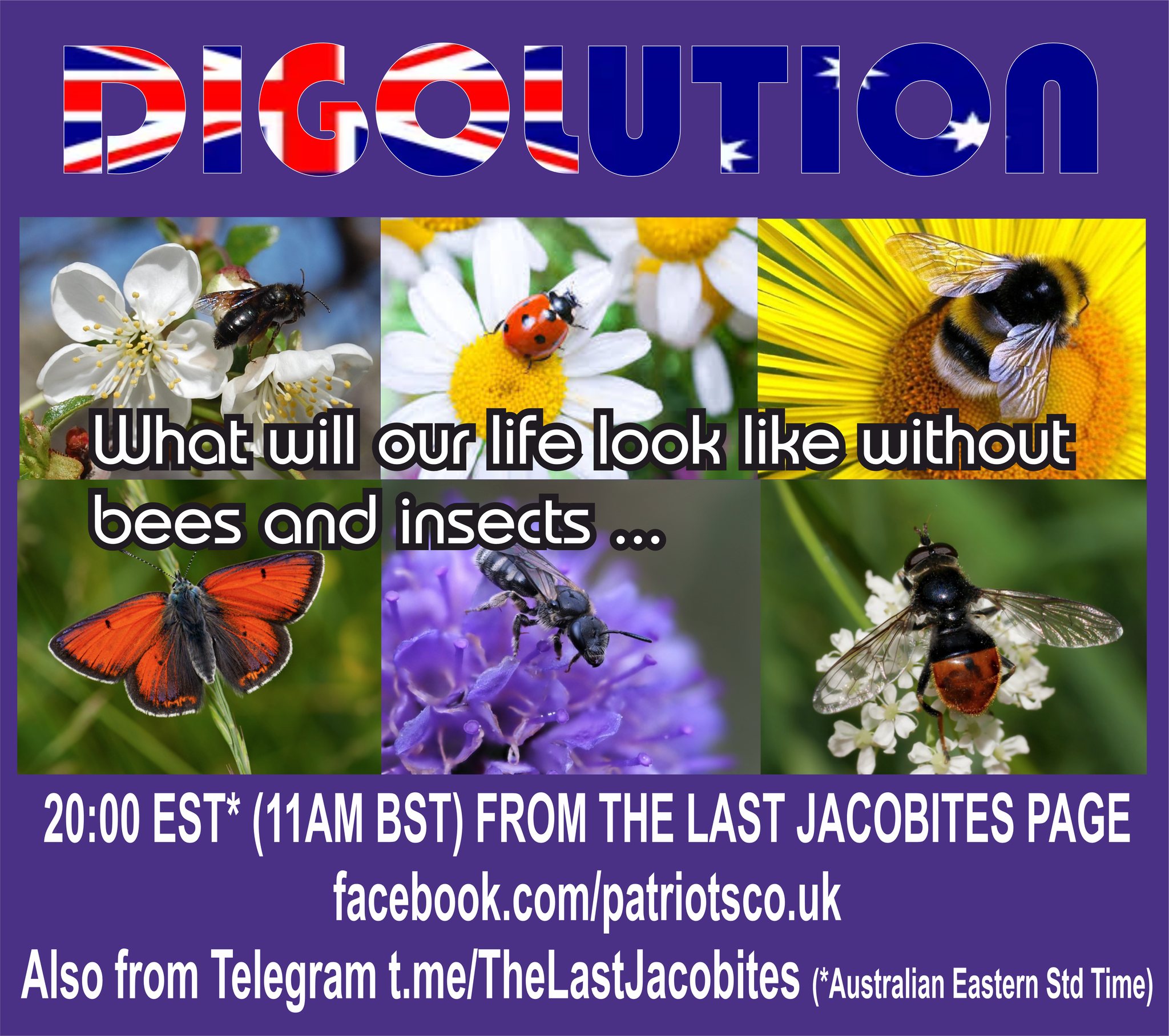 What will our life look like without bees and insects ...